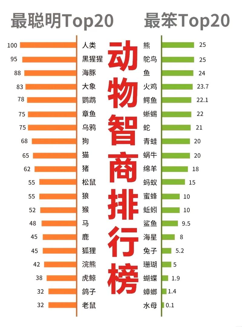 动物智商（哺乳动物智商）