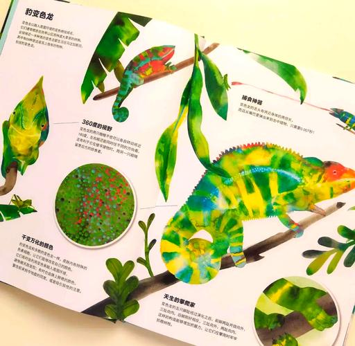 动物伪装术（动物伪装术合集）