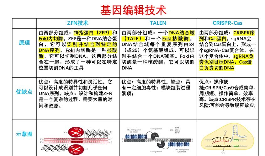 基因编辑(基因编辑的原理)