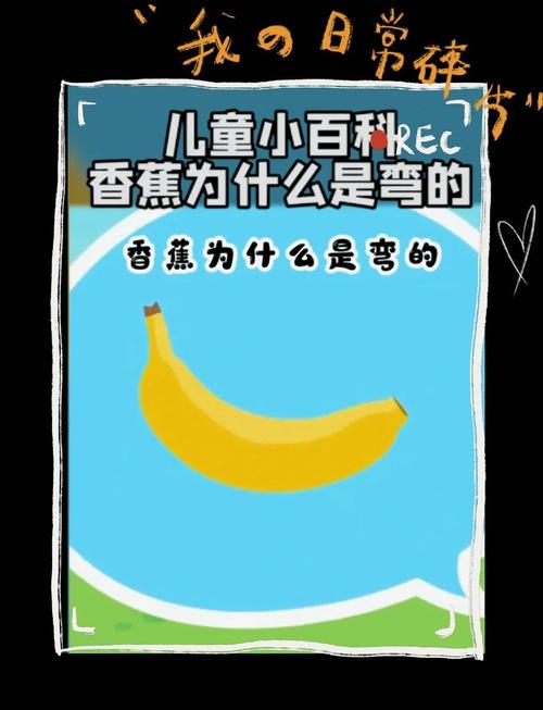 香蕉为什么是弯的？（为什么香蕉是弯的而不是直的）