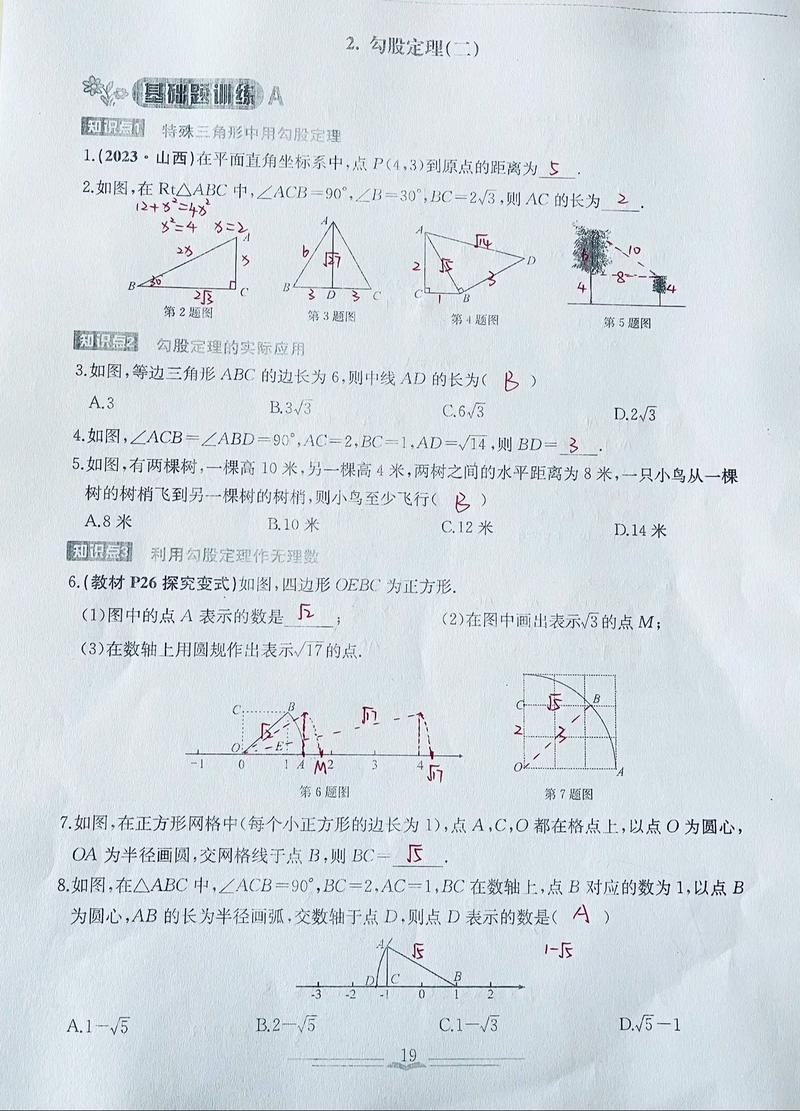 苏教版八年级下册数学补充习题答案（八年级下册数学补充答案苏教版2020零五网）