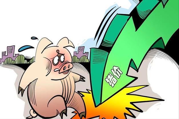 高瞻远“猪”：猪价跌至近七年最低点 “不破不立”或能绝处逢生