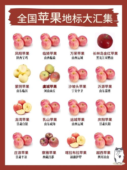 产区苹果价格上涨，主因好货供应偏紧