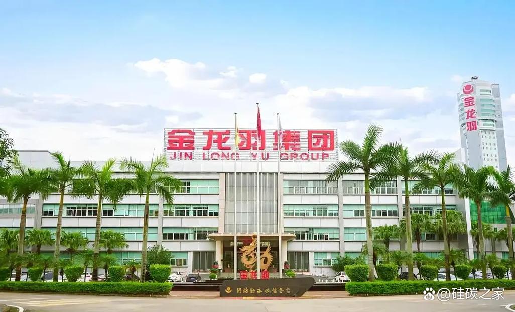 金龙羽：公司2021年投资新能源固态电池项目，目前中试进展顺利，部分固液电池产品经专业检测合格