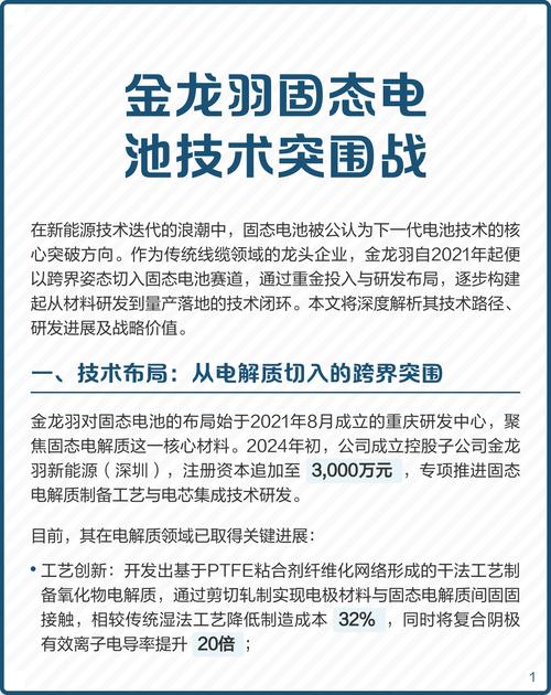 金龙羽：公司2021年投资新能源固态电池项目，目前中试进展顺利，部分固液电池产品经专业检测合格