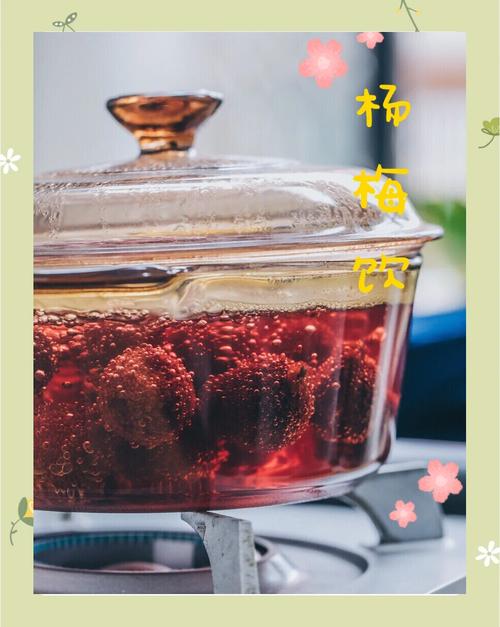 杨梅汤的做法（杨梅汤做法教程）