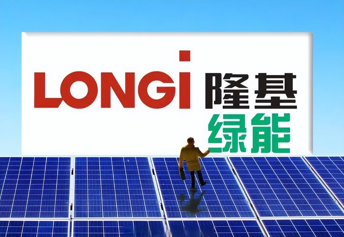 隆基绿能：公司目前已构建起了以HPBC 2.0技术为核心的高价值产品体系