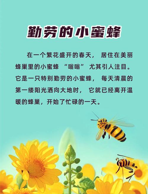 《华安固事》之三 | 吴文明做勤劳的蜜蜂，寻找确定性机会